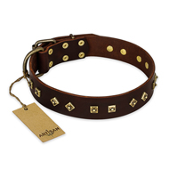"Fashion Studs" FDT Artisan Decorated Leather dog Collar with Old Bronze-Plated Steel Hardware "Fashion Studs" FDT Artisan Decorated Leather dog Collar with Old Bronze-Plated Steel Hardware