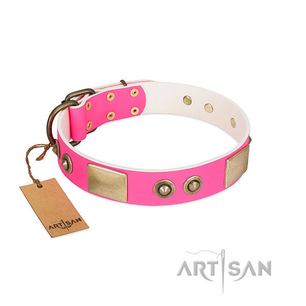 Strong decorations on genuine leather dog collar for your doggie