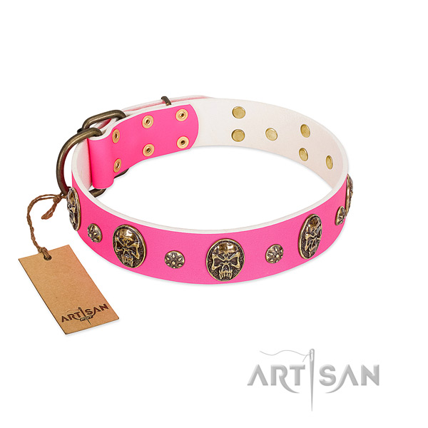 Amazing natural leather dog collar for stylish walking