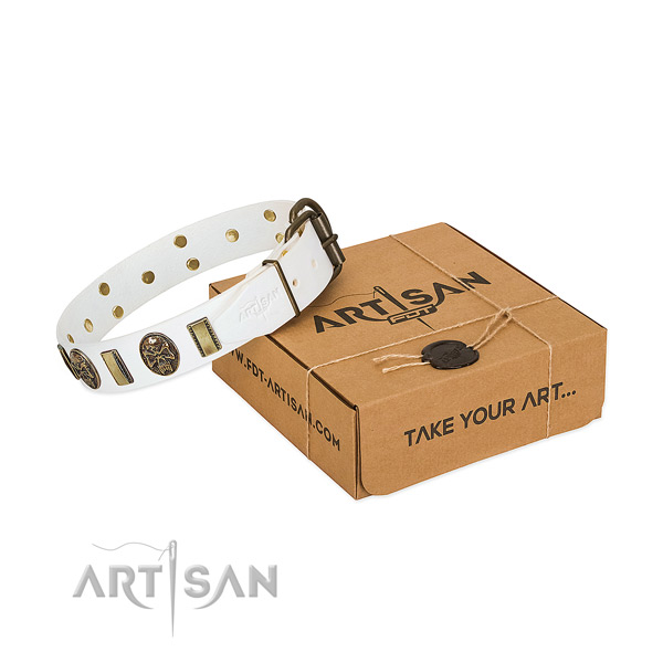 Corrosion resistant D-ring on natural genuine leather dog collar for stylish walking