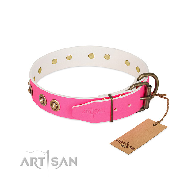 Leather dog collar with durable fittings and embellishments