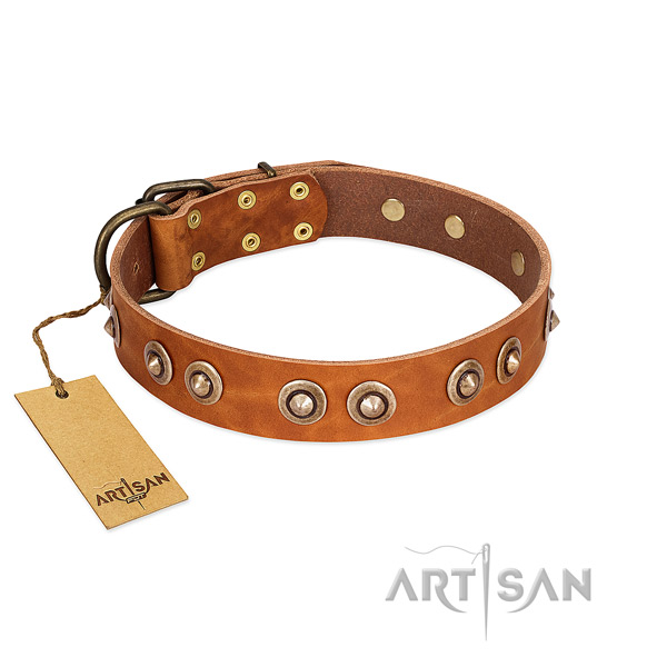 Rust resistant hardware on leather dog collar for your canine
