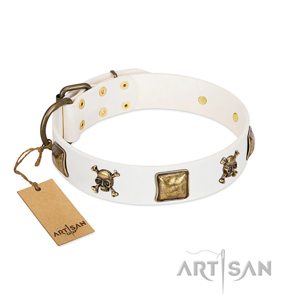 Trendy leather dog collar with durable decorations