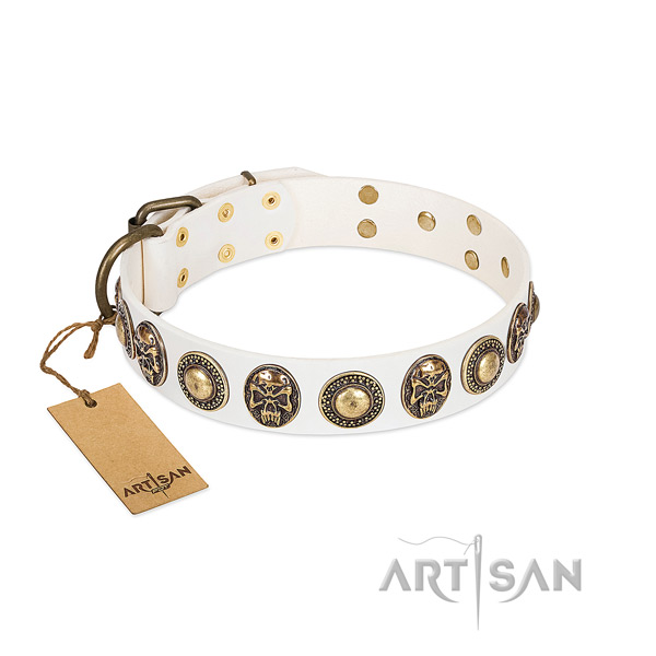 Easy to adjust genuine leather dog collar for everyday walking your canine