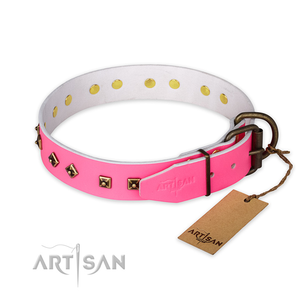 Durable buckle on full grain leather collar for walking your four-legged friend
