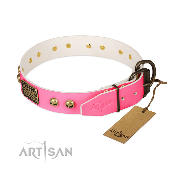 Strong decorations on daily use dog collar
