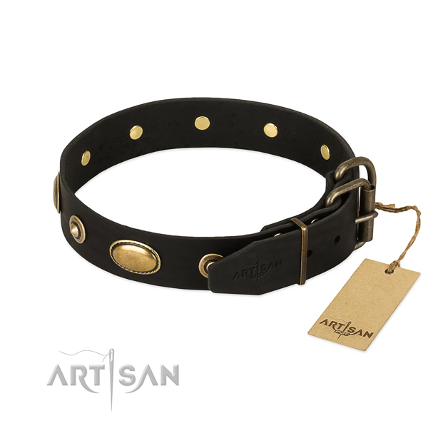Strong studs on natural leather dog collar for your canine