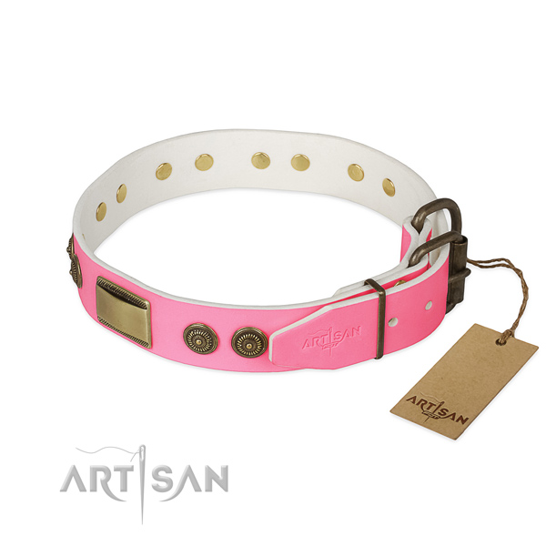 Corrosion proof D-ring on walking dog collar