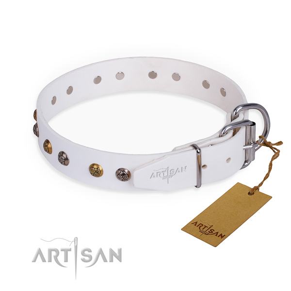 Genuine leather dog collar with exceptional rust-proof embellishments