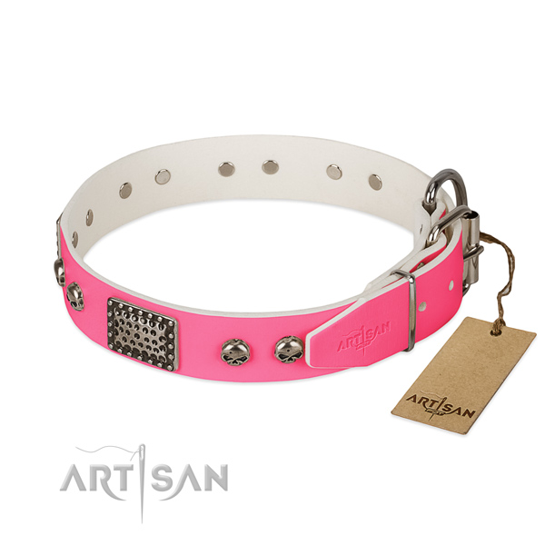 Durable decorations on easy wearing dog collar