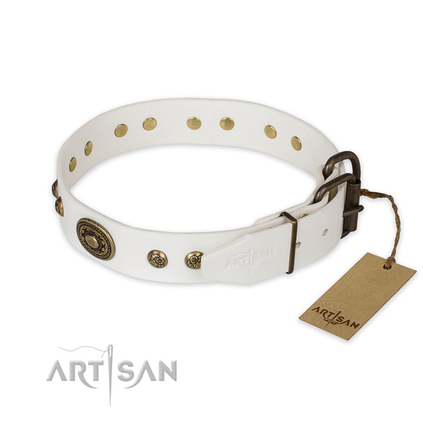 Strong D-ring on genuine leather collar for stylish walking your canine
