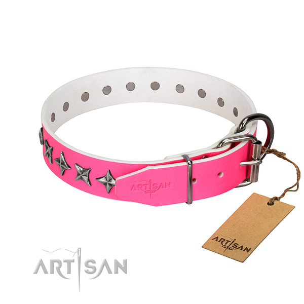 Top notch leather dog collar with inimitable decorations