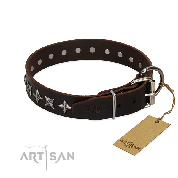 Everyday walking adorned dog collar of quality full grain genuine leather