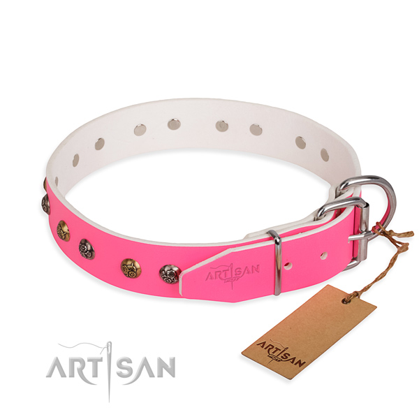 Full grain leather dog collar with remarkable strong adornments