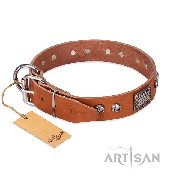 Corrosion proof D-ring on basic training dog collar