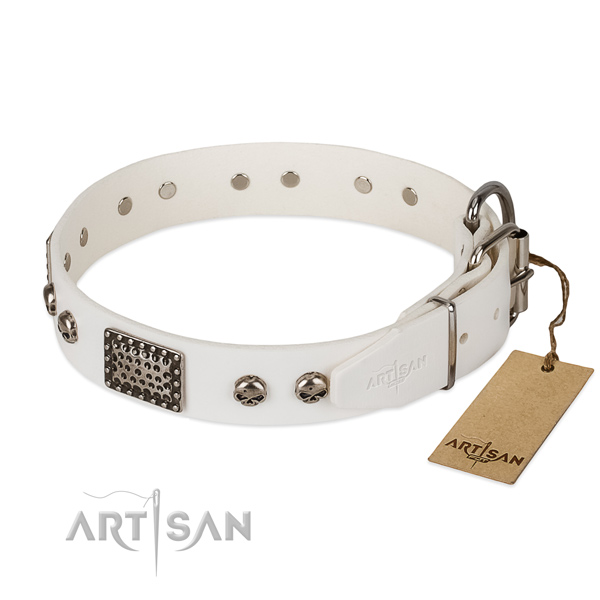 Durable embellishments on daily use dog collar
