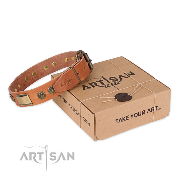 Rust resistant hardware on leather dog collar for handy use