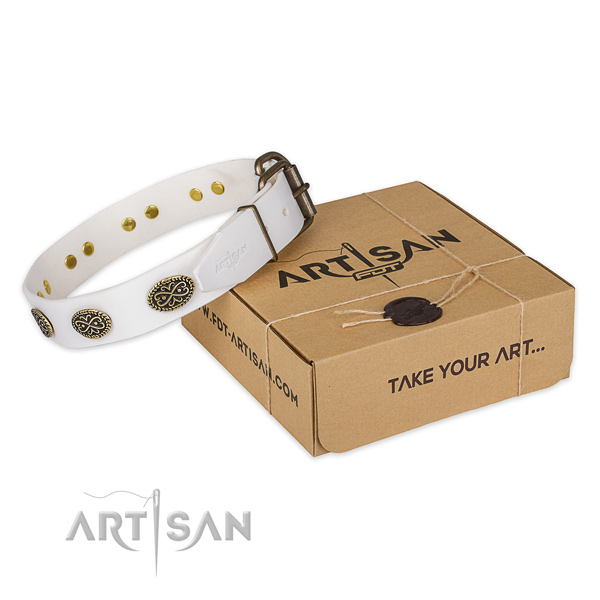 Strong fittings on full grain leather dog collar for fancy walking