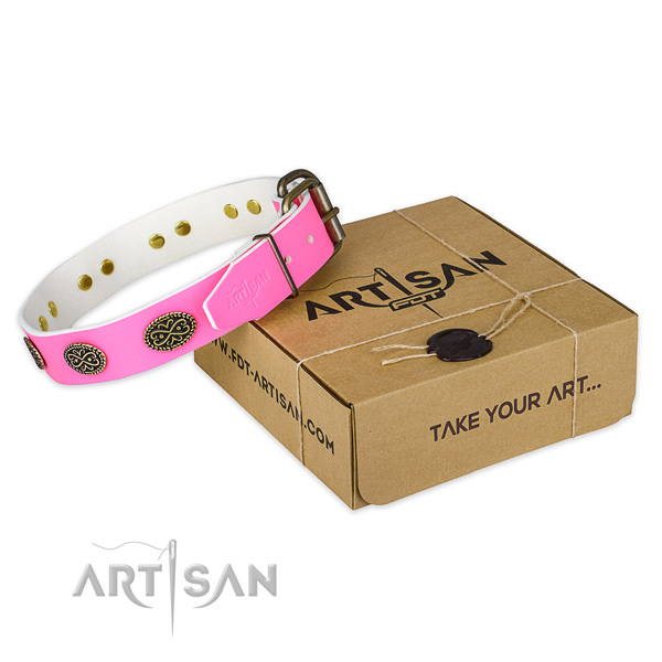 Embellished full grain genuine leather dog collar for daily use