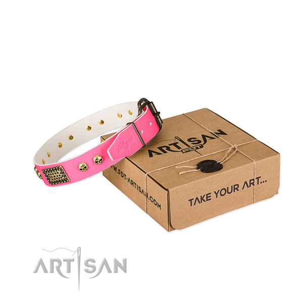 Corrosion resistant embellishments on dog collar for easy wearing