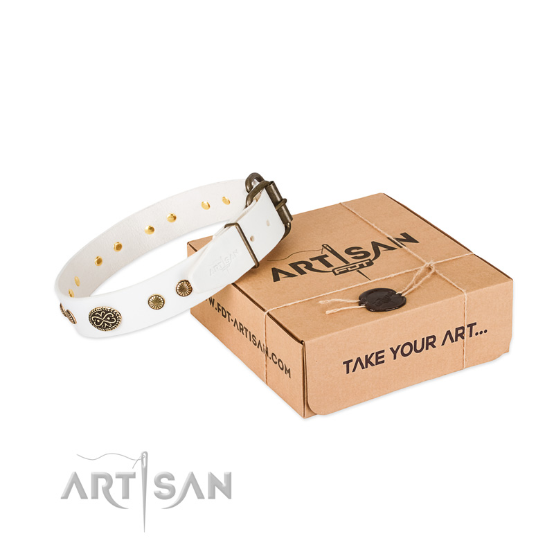 Durable fittings on leather dog collar for your canine