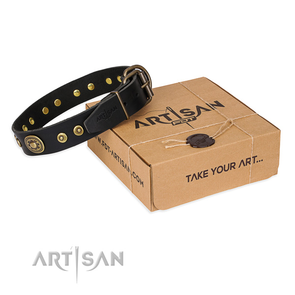 Full grain genuine leather dog collar made of soft to touch material with durable traditional buckle