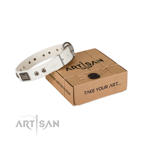 Corrosion proof studs on dog collar for comfortable wearing