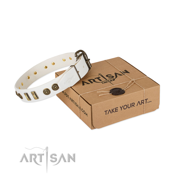 Rust-proof studs on full grain natural leather dog collar for your pet