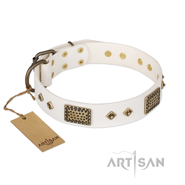 Fine quality full grain leather dog collar for fancy walking