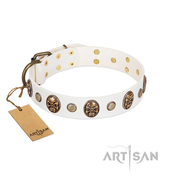Significant leather dog collar for walking