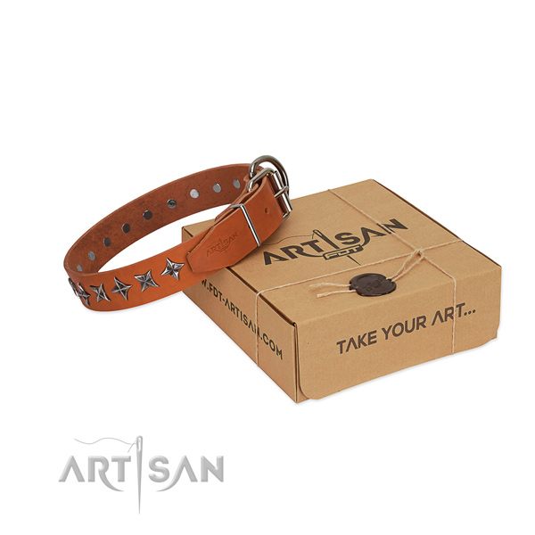 Basic training dog collar of durable full grain natural leather with studs