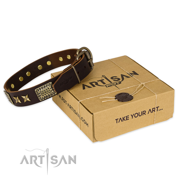 Reliable fittings on full grain natural leather collar for your beautiful dog