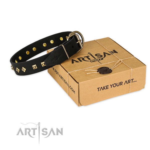 Strong fittings on full grain leather dog collar for fancy walking