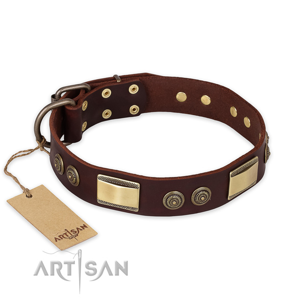 Significant full grain genuine leather dog collar for daily walking
