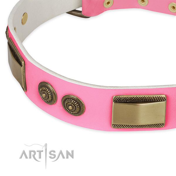 Leather dog collar with adornments for everyday walking