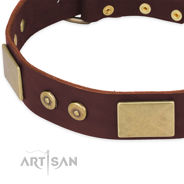 Leather dog collar with adornments for everyday walking