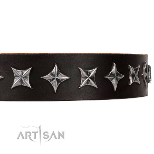 Everyday walking studded dog collar of high quality natural leather