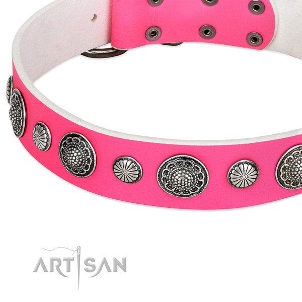 Genuine leather collar with durable buckle for your lovely pet