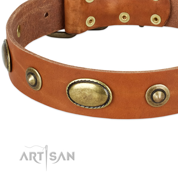 Corrosion proof adornments on full grain natural leather dog collar for your pet