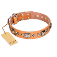 "Glamour Finery" FDT Artisan Female dog collar of natural leather with stylish old-looking circles "Glamour Finery" FDT Artisan Female dog collar of natural leather with stylish old-looking circles