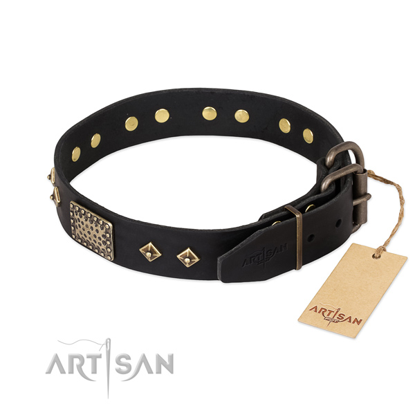 Full grain natural leather dog collar with corrosion resistant buckle and embellishments