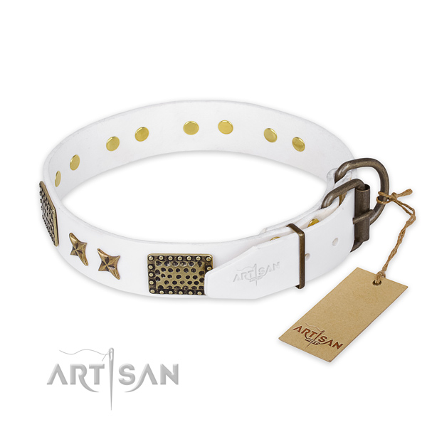 Durable traditional buckle on full grain natural leather collar for your stylish pet
