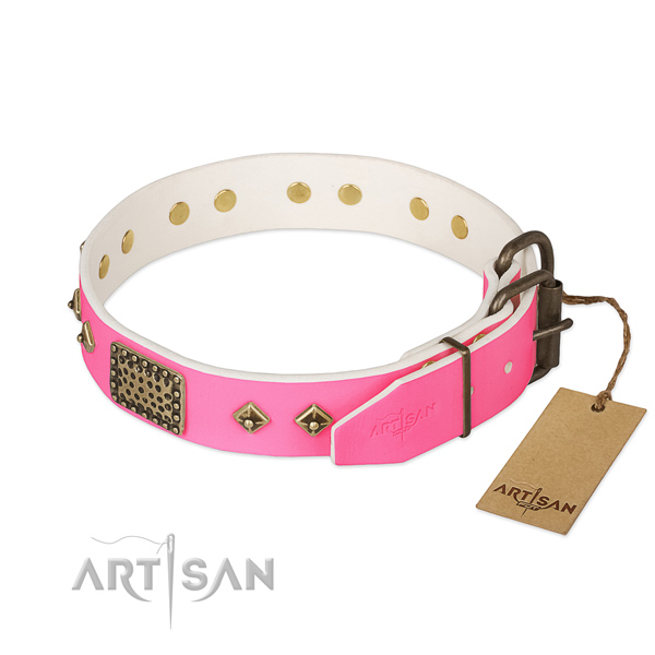 Reliable D-ring on daily use dog collar