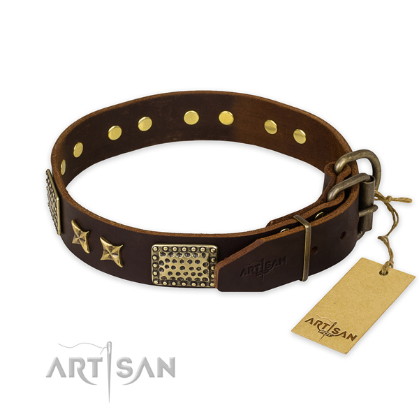 Strong D-ring on leather collar for your attractive canine