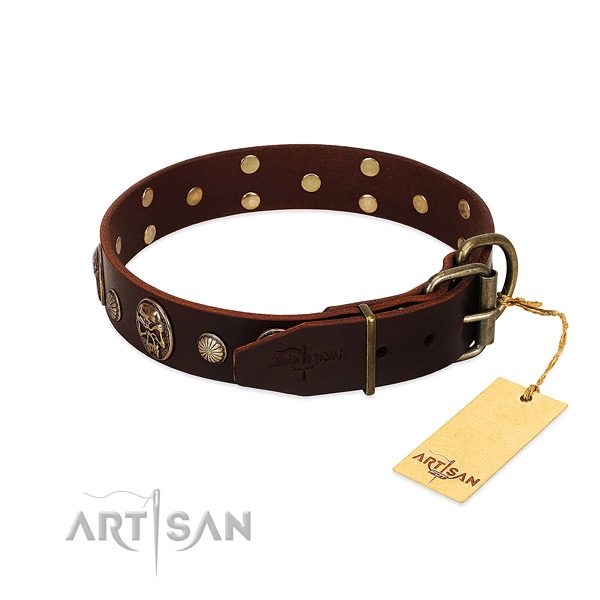 Rust resistant embellishments on daily use dog collar