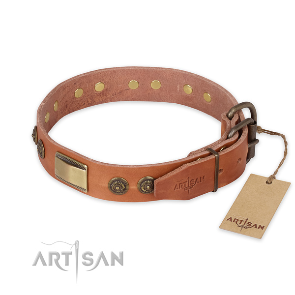 Corrosion proof hardware on leather collar for basic training your pet