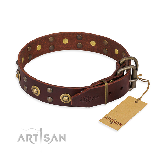 Corrosion resistant hardware on leather collar for your attractive doggie