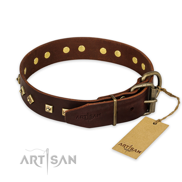 Strong buckle on leather collar for fancy walking your doggie