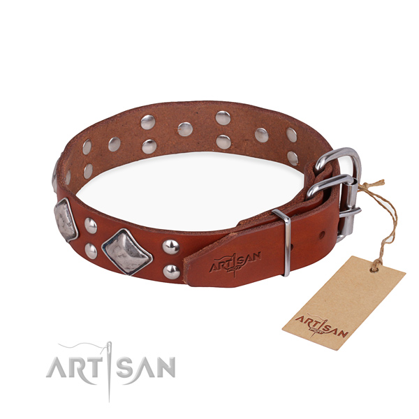 Full grain leather dog collar with stylish rust resistant embellishments