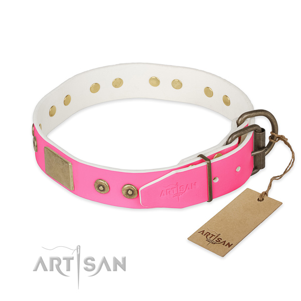 Reliable studs on daily walking dog collar